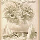 Illustration for article titled The Victorian Hugos: 1895 Sees The Triumphant Arrival Of H.G. Wells!